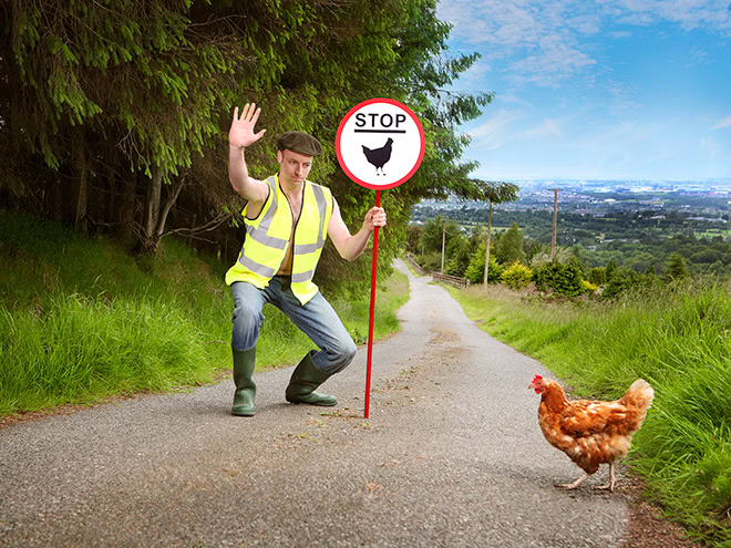 A photo from "Irish Farmer Calendar" - funny stuff.