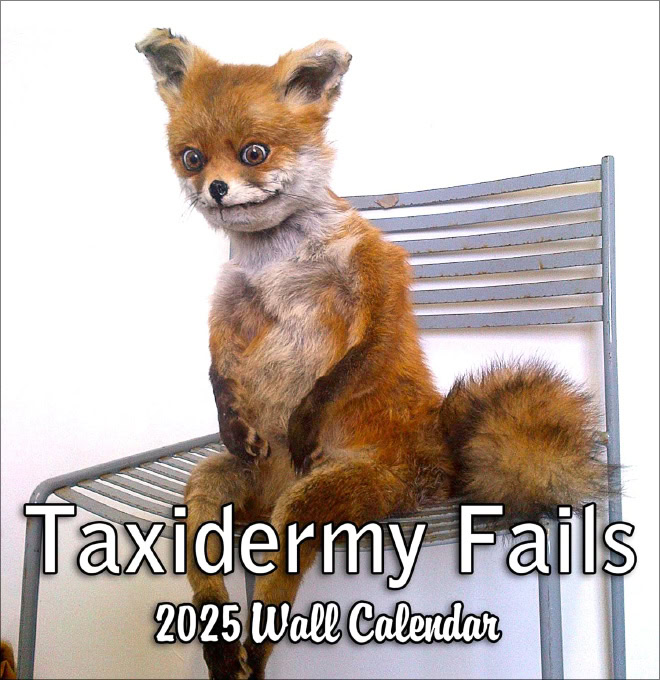 Funny calendar.