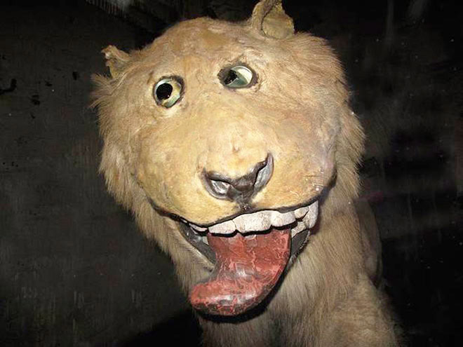 Taxidermy fail.