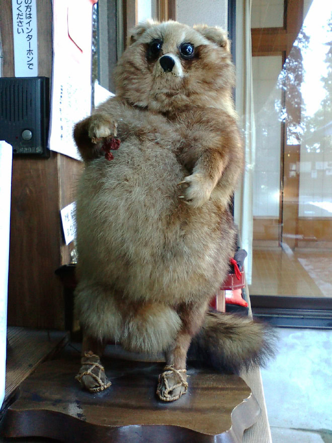 Taxidermy fail.