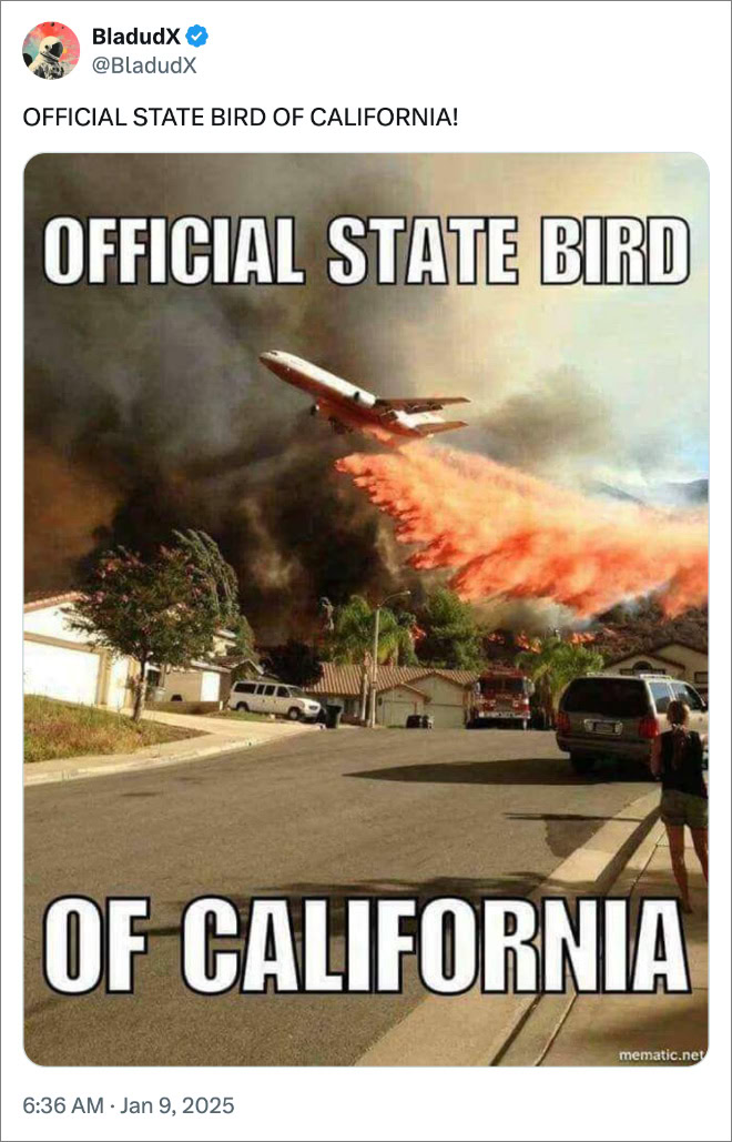 OFFICIAL STATE BIRD OF CALIFORNIA!