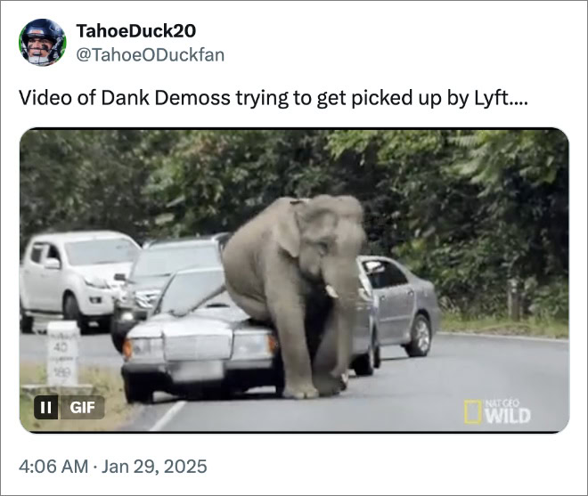 Video Dank Demoss mencoba dijemput oleh Lyft ....