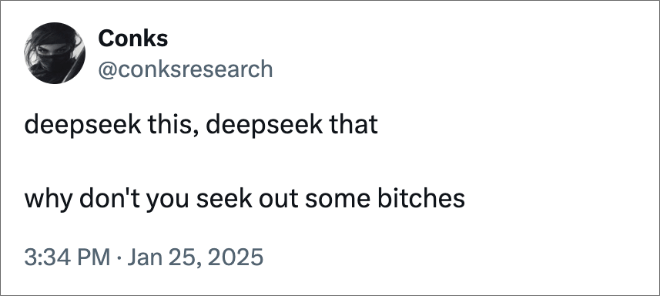 deepseek this, deepseek that why don't you seek out some bitches