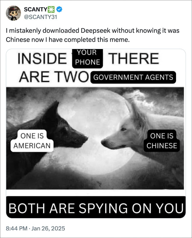 I mistakenly downloaded Deepseek without knowing it was Chinese now I have completed this meme.