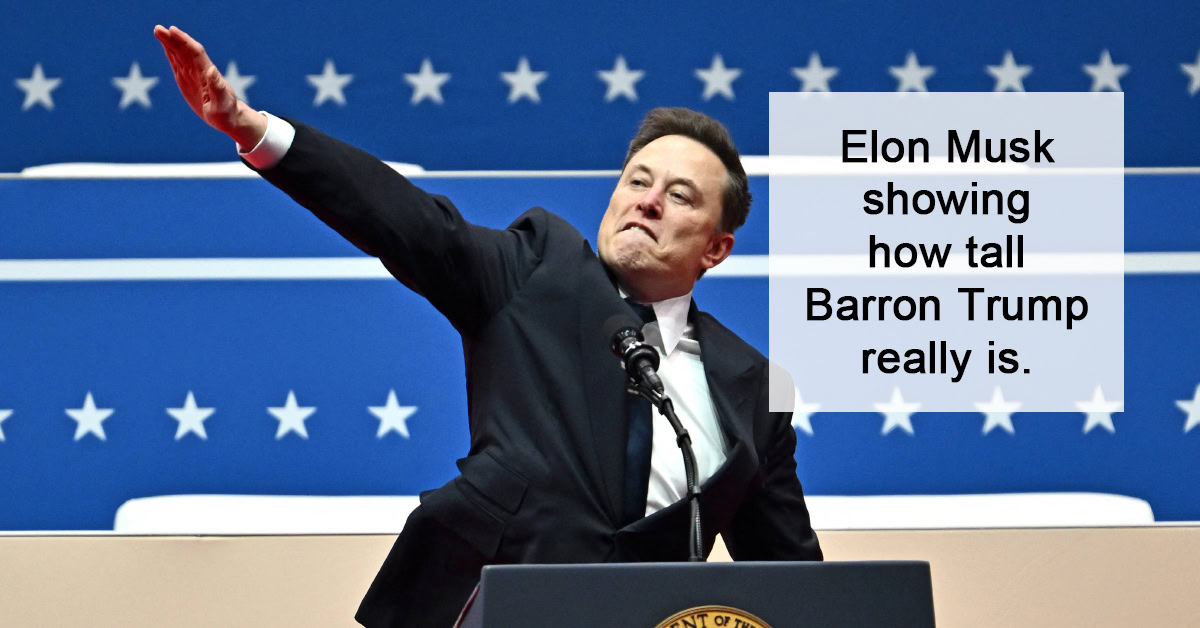 Elon Musk Nazi Salute: Memes And Reactions