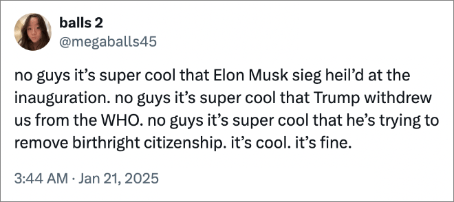 no guys it’s super cool that Elon Musk sieg heil’d at the inauguration. no guys it’s super cool that Trump withdrew us from the WHO. no guys it’s super cool that he’s trying to remove birthright citizenship. it’s cool. it’s fine.