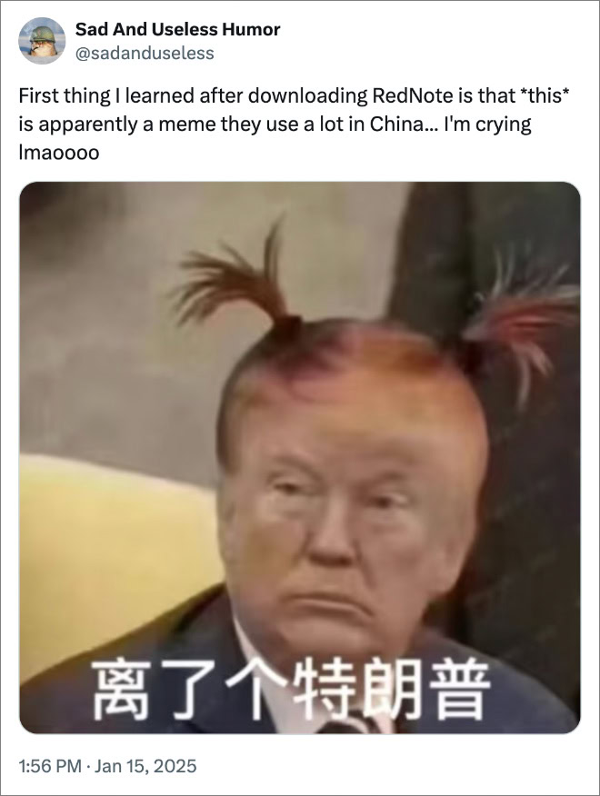 First thing I learned after downloading RedNote is that *this* is apparently a meme they use a lot in China... I'm crying lmaoooo