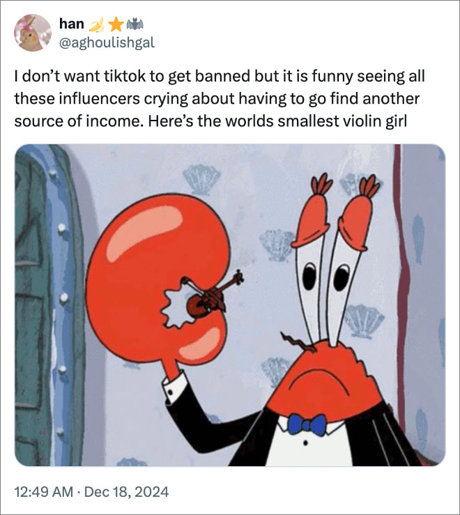 I don’t want tiktok to get banned but it is funny seeing all these influencers crying about having to go find another source of income. Here’s the worlds smallest violin girl