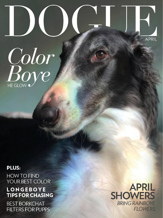 Dogue: fashion magazine for dogs.