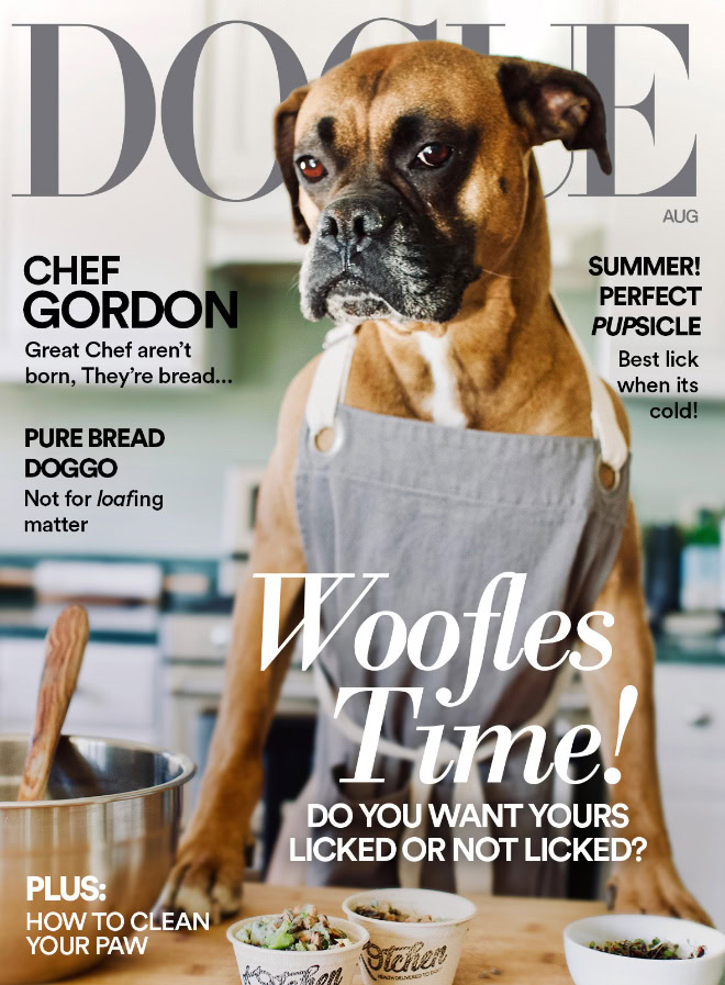 Dogue: fashion magazine for dogs.