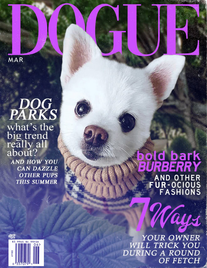 Dogue: fashion magazine for dogs.