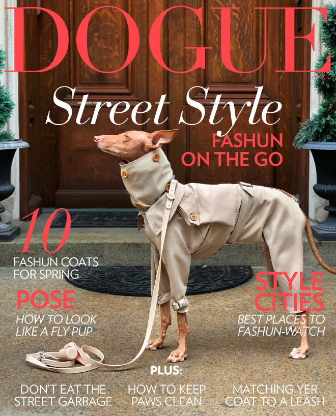 Dogue: fashion magazine for dogs.