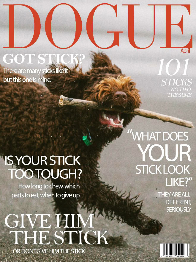 Dogue: fashion magazine for dogs.