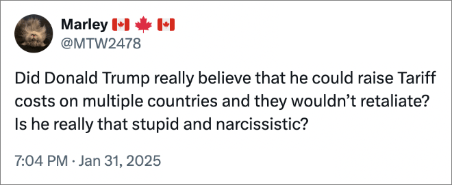 Did Donald Trump really believe that he could raise Tariff costs on multiple countries and they wouldn’t retaliate? Is he really that stupid and narcissistic?