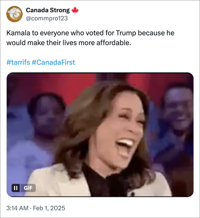 Kamala to everyone who voted for Trump because he would make their lives more affordable.