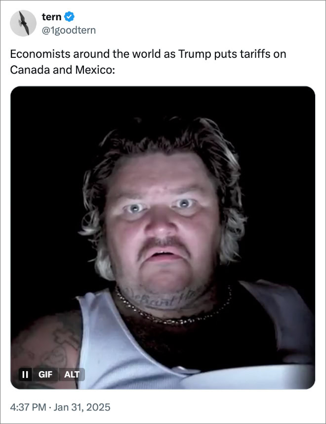 Economists around the world as Trump puts tariffs on Canada and Mexico: 