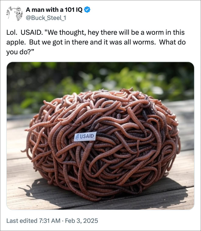 Lol. USAID. "We thought, hey there will be a worm in this apple. But we got in there and it was all worms. What do you do?”